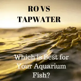is reverse osmosis water better than tap water for aquariums?