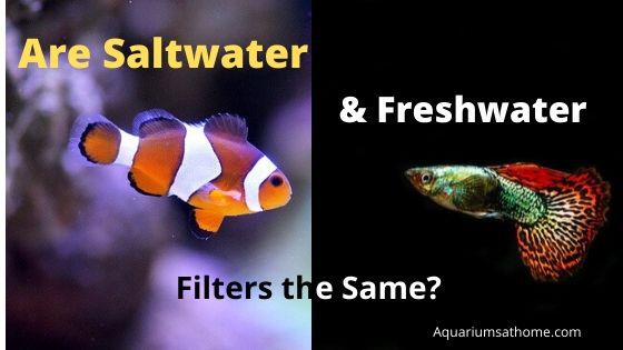 saltwater and freshwater filters