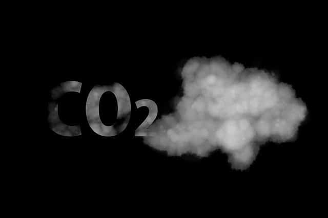 Why Use CO2 in an Aquarium?