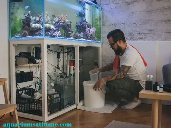 cleaning a reef tank