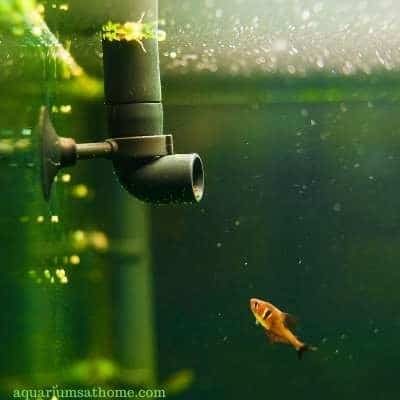 water flow in fish tank
