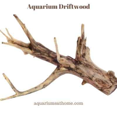 aquarium driftwood