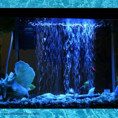 fish tank with air bubbles