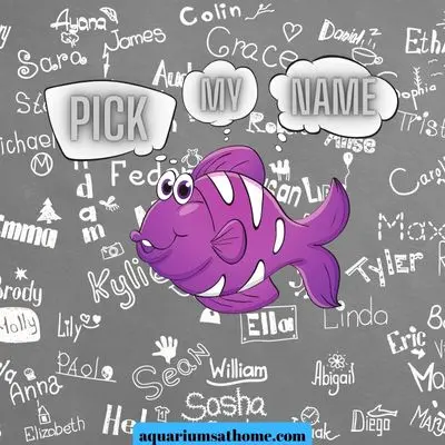 An animated fish thinking of names