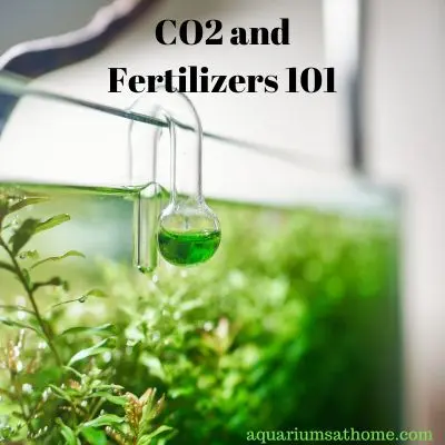 co2 and fertilizers